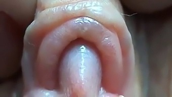 Intense Close-Up Of A Big Clit And Labia Lips
